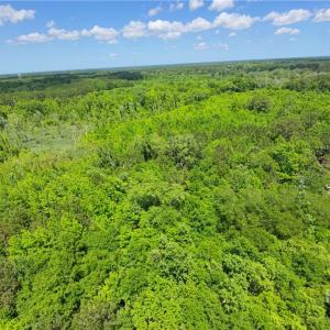 526 Roper Road - 30 Acres