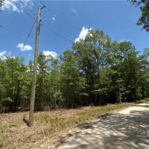 526 Roper Road - 30 Acres