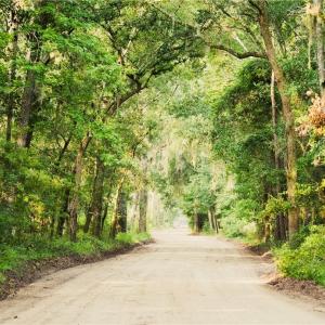 Photo #1 of 74 Prospect, Daufuskie Island, SC 0.5 acres