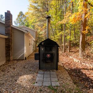 Outdoor Wood Stove 1