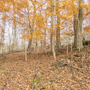 APC_3439-hdr