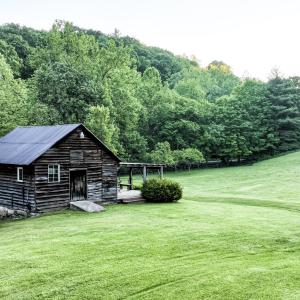 DJI_0916 (3)
