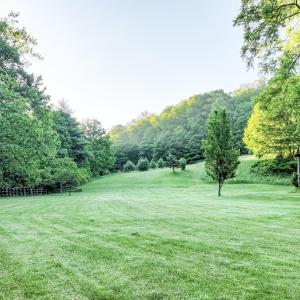 DJI_0975 (4)