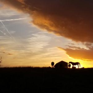 45 Sunset At VCL Flying Horse Farm