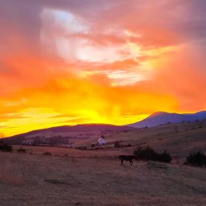 46 Sunset Fire from Lochausen Farm