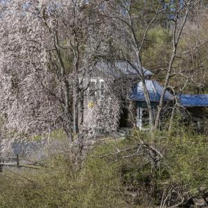 20250401-DJI_20250401101700_0406_D