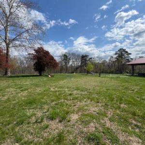 691 Alleghany 2
