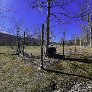 89ac_Secrist_Giles_Co_VA_MS-44