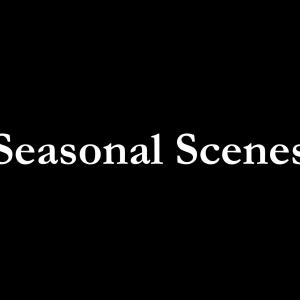 Seasonal Scenes
