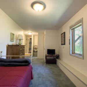 Basement Flexible Room