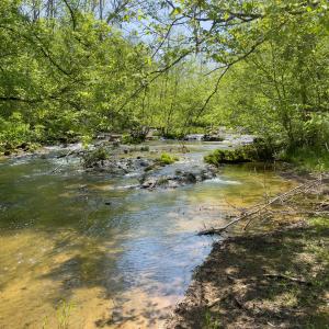 Hays Creek