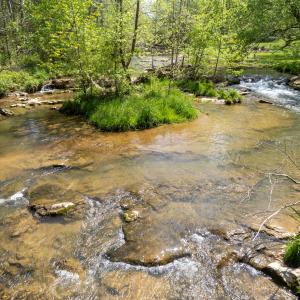 Hays Creek