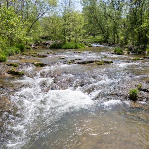 Hays Creek