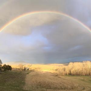 Rainbow