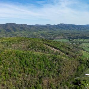 678MarbleValleyRd56 - Copy