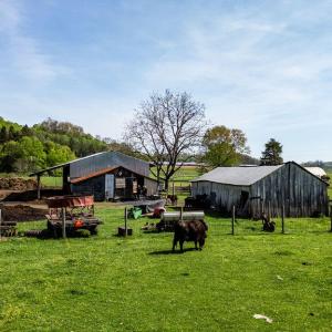 678MarbleValleyRd75 - Copy