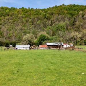 678MarbleValleyRd77 - Copy