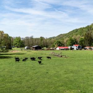 678MarbleValleyRd93