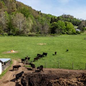 678MarbleValleyRd91