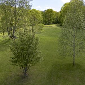 MLS 5367 W Midland Trail-15