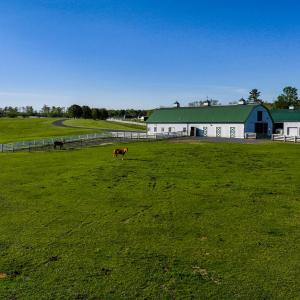 Millboro Estate - no wm-095