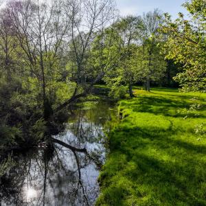 Millboro Estate - no wm-110