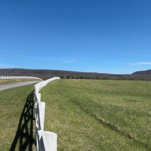 IMG_8494