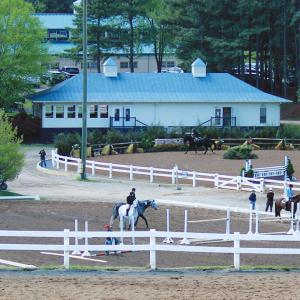 Virginia Horse Center Lexington VA