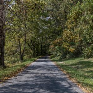 Road View