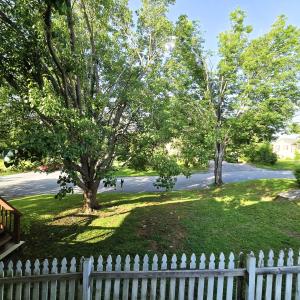 Front yard