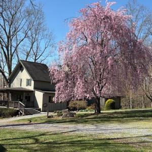 Spring time