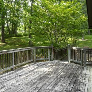 Peaceful setting