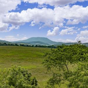 House Mountain View