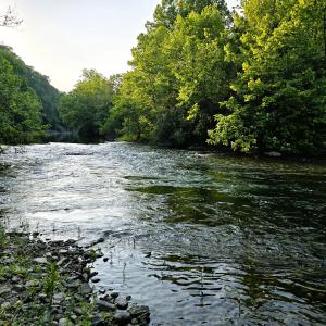 River 1