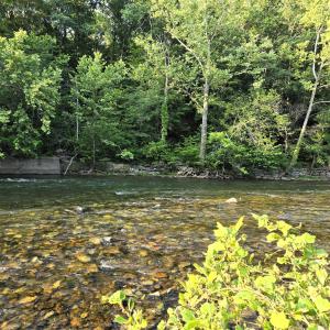 River 3