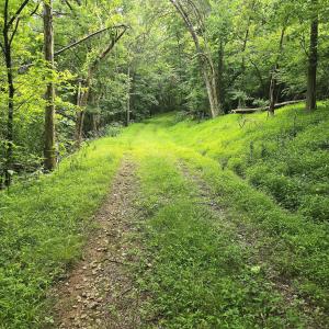 Roadway to Maury River - Copy