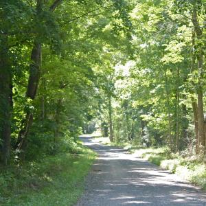 Creek lane