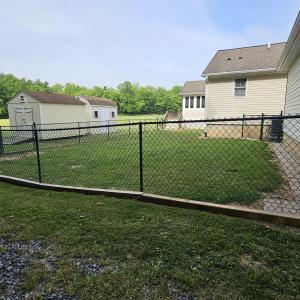 Dog area