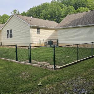 Dog area