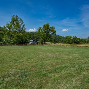 Fenced in yard