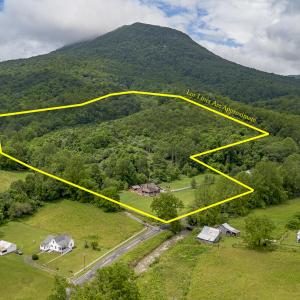 Aerial Lot Lines