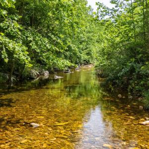 20250613-DJI_20250613124555_0015_D