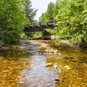 20250613-DJI_20250613124600_0016_D