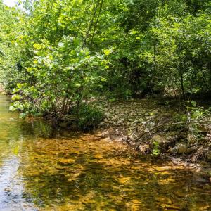 20250613-DJI_20250613124616_0018_D