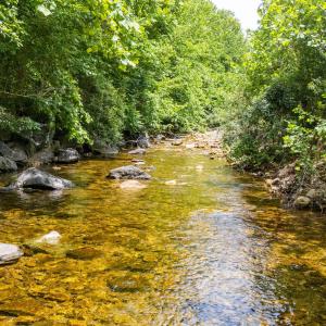 20250613-DJI_20250613124624_0019_D