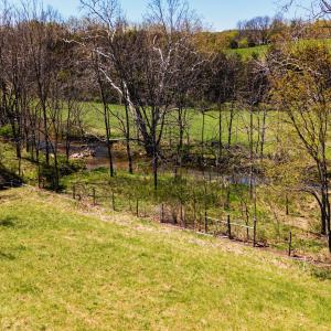 374FinleyRd093