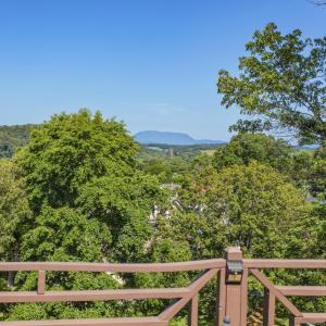 Views from front deck