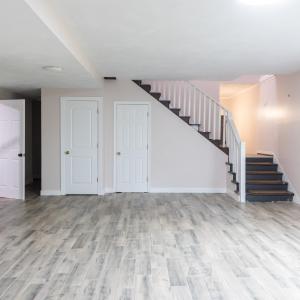 Basement Living Room