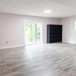 Basement Living Room