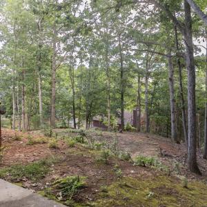 Yard View